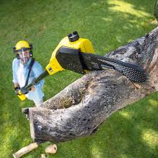 Best Lawn Grading and Leveling  in Plain City, UT